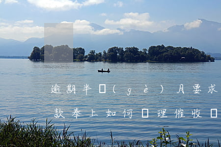 逾期半個(gè)月要求還全款，逾期半月，全款奉上：如何處理催收壓力？